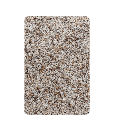 Psyllium seed