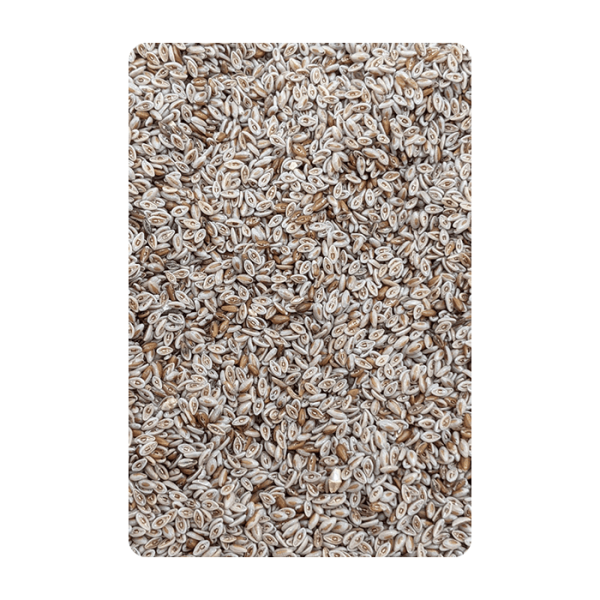 Psyllium seed