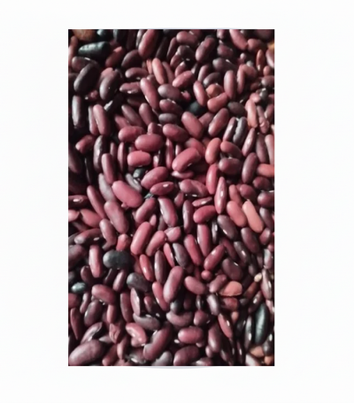 rajma