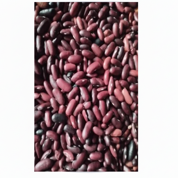 rajma
